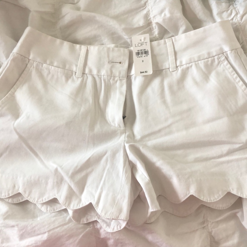 NWT Loft Shorts
